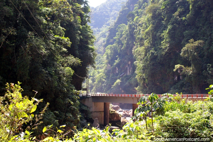 Lance uma ponte sobre o Rio Aguaytia, perto de Tingo Maria. (720x480px). Peru, Amrica do Sul.