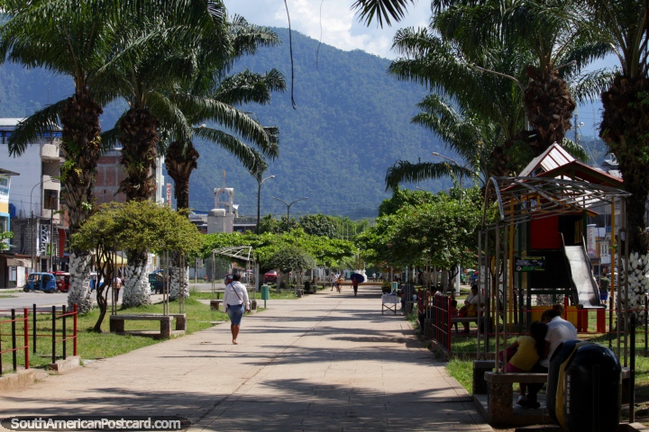 Park in the center of Tingo Maria, palm trees and hills. (720x480px). Peru, South America.