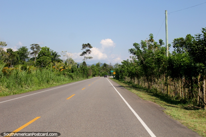 El camino alrededor de Pendencia entre Tingo Mara y Tocache. (720x480px). Per, Sudamerica.