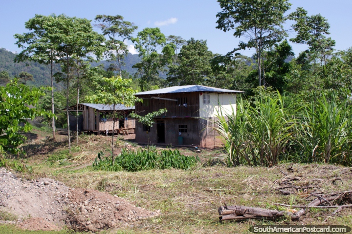 Simple casas de madera en la selva, pero al lado de la carretera, entre Tingo y Tocache. (720x480px). Per, Sudamerica.