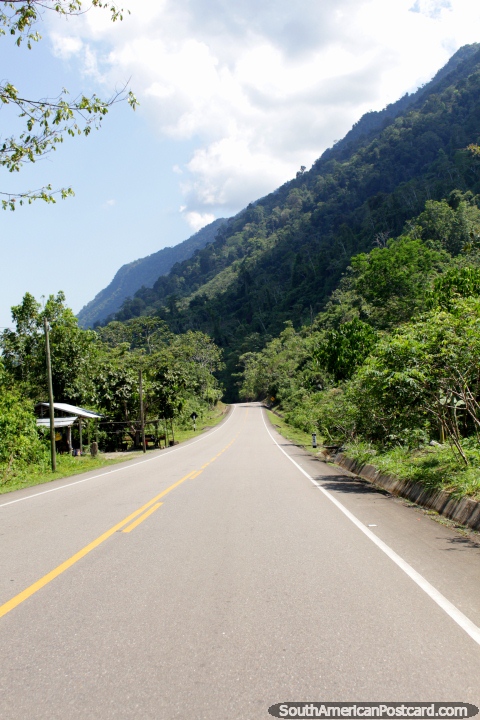 Conduciendo por la Amazonas, Tingo Mara a Tocache en un camino sellado. (480x720px). Per, Sudamerica.