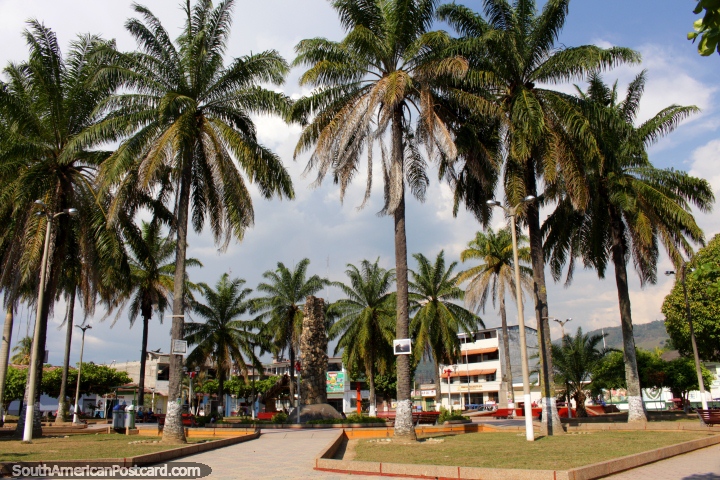 Plaza de Armas in Tocache with many palm trees. (720x480px). Peru, South America.