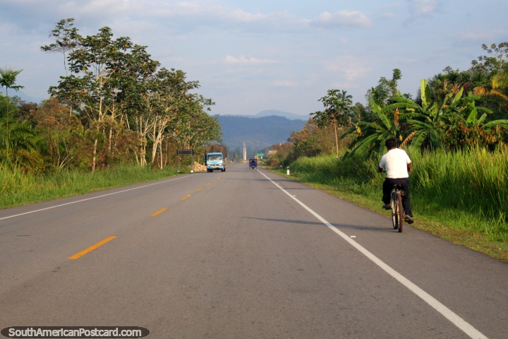 173 kms de Tocache a Juanjui, la seccin ms desagradable de la carretera entre Tingo Mara y Tarapoto. (720x480px). Per, Sudamerica.