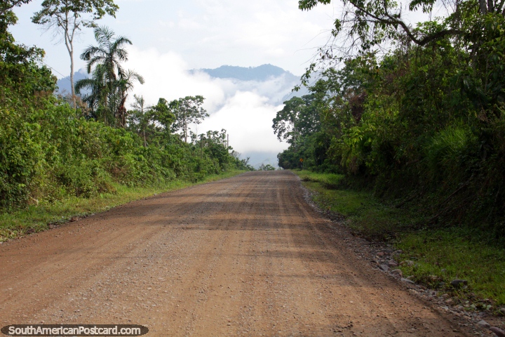 The road north of Pizana between Tingo Maria and Tarapoto, dangerous for robberies. (720x480px). Peru, South America.