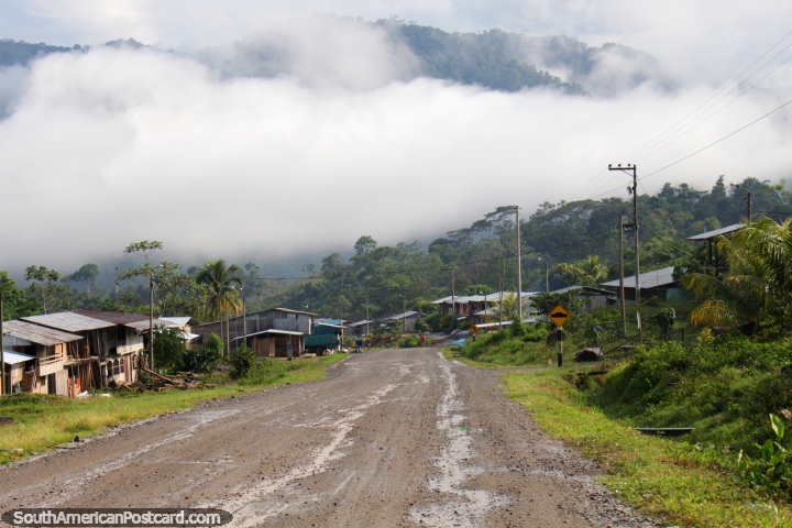 Encabeando em uma floresta de nuvem perigosa de Nuevo San Martin, caminho Tingo Maria - Tarapoto. (720x480px). Peru, Amrica do Sul.