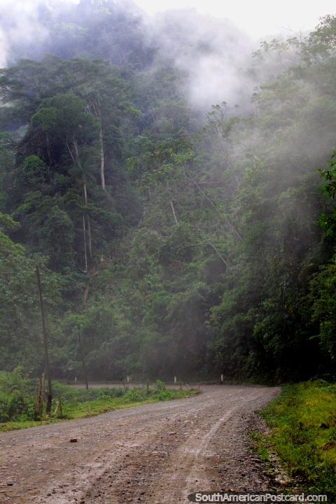 Estrada de cascalho atravs da floresta nublada, poderia haver bandidos por aqui, Tocache a Juanjui. (480x720px). Peru, Amrica do Sul.