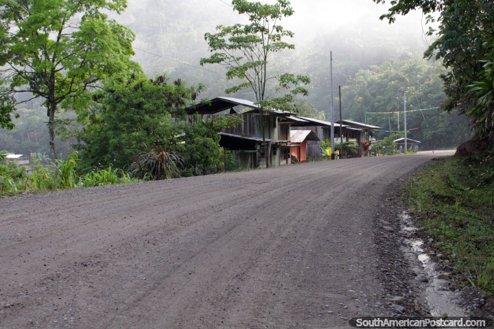 Alrededor de Nuevo Jan, una comunidad en el bosque nuboso de Pacota entre Pizana y Juanjui. (720x480px). Per, Sudamerica.