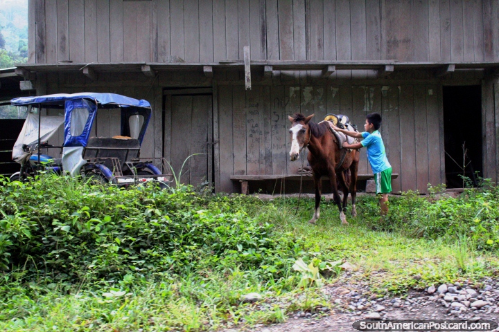 Boy tends to his horse in front of his wooden house in the forests of Pacota, north of Pizana. (720x480px). Peru, South America.