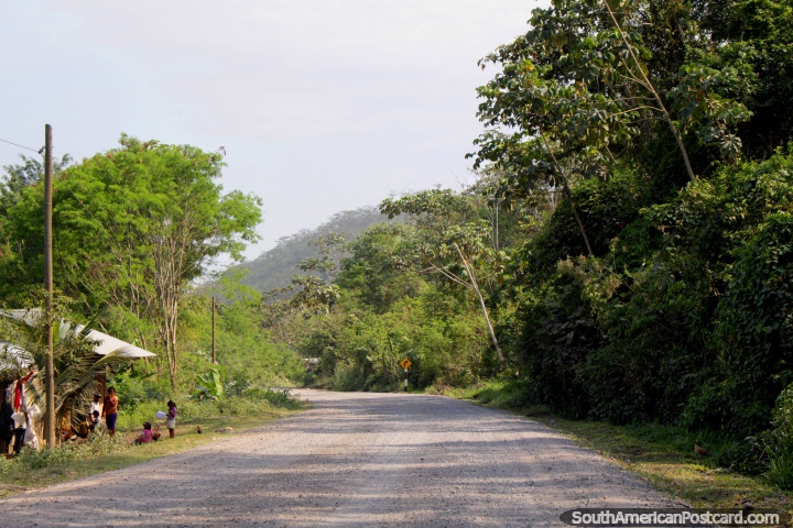 Una parte muy remota de Per, una carretera no en el camino turstico, Tocache a Juanjui. (720x480px). Per, Sudamerica.