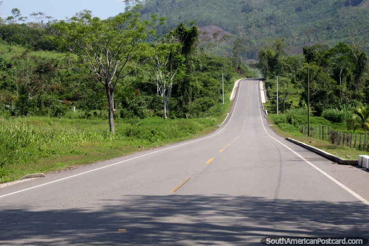 Um 40 passeio de um minuto rpido de Balsayacu a Juanjui em um caminho selado, a pior parte  acabada! (720x480px). Peru, Amrica do Sul.