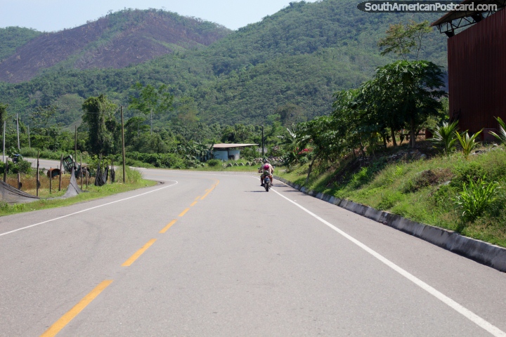 Camino al norte de Huinguillo, dirigindose hacia Juanjui, bonito Amazonas verde. (720x480px). Per, Sudamerica.