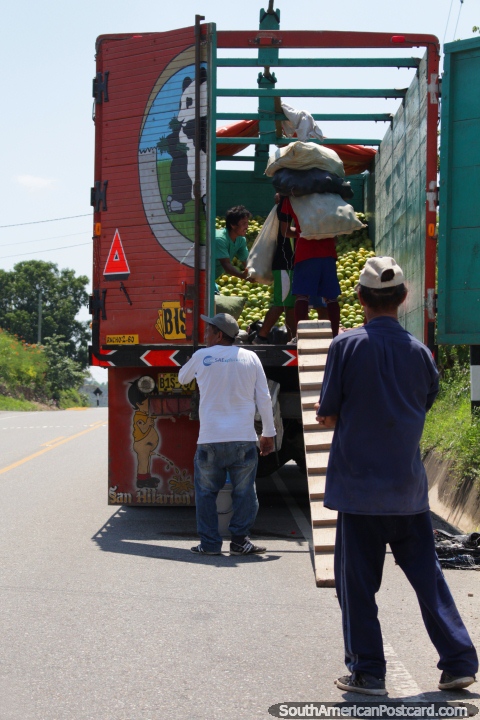 Naranjas siendo cargadas en un camin de sacos, borde de la carretera, Juanjui a Tarapoto. (480x720px). Per, Sudamerica.