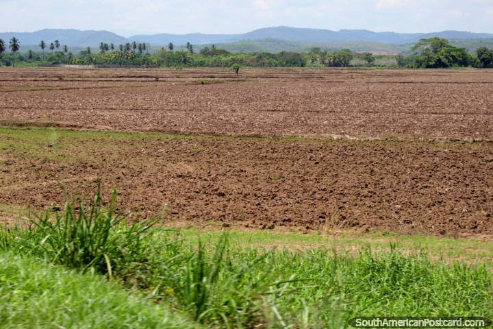 Campos arados prontos para plantar-se com colheitas, abra a zona rural ao sul de Tarapoto. (720x480px). Peru, Amrica do Sul.