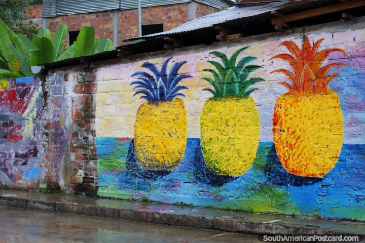 3 little pineapples standing in a row, if 1 fell down there would be 2 to go, mural in Lamas. (720x480px). Peru, South America.