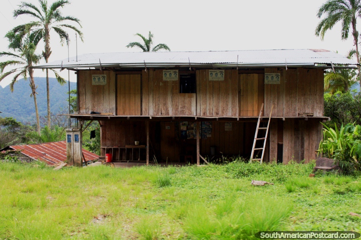 Casa de madera en la selva al lado de la carretera a Yurimaguas de Tarapoto. (720x480px). Perú, Sudamerica.