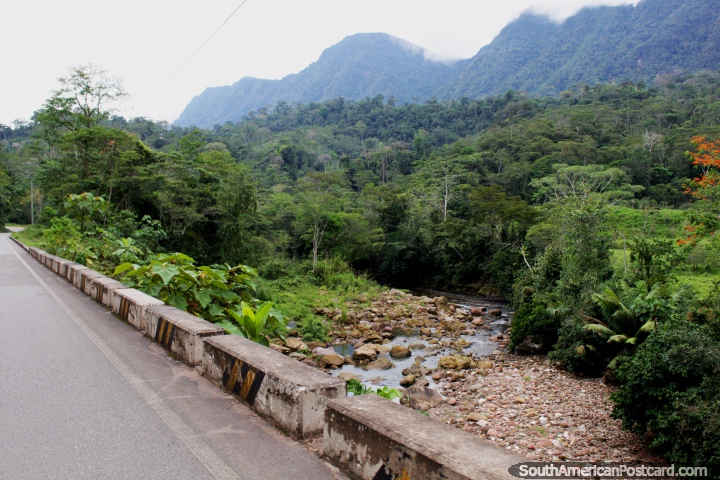 Río rocoso y selva gruesa al lado de la carretera a Yurimaguas de Tarapoto. (720x480px). Perú, Sudamerica.