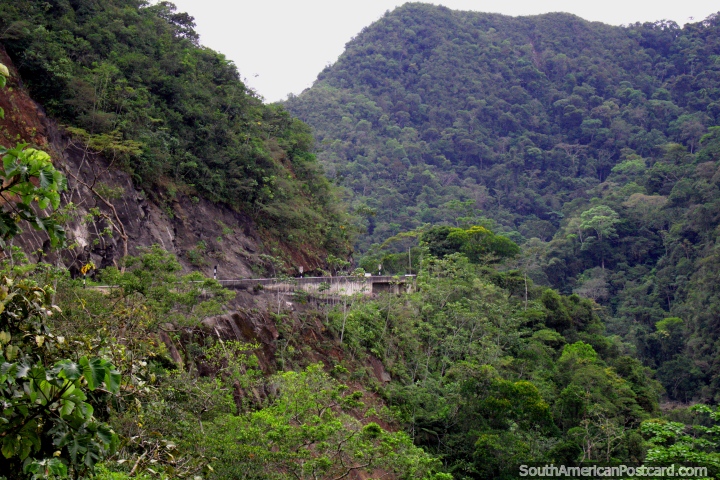 Road winds around the jungle ridge, dense forest, Tarapoto to Yurimaguas. (720x480px). Peru, South America.