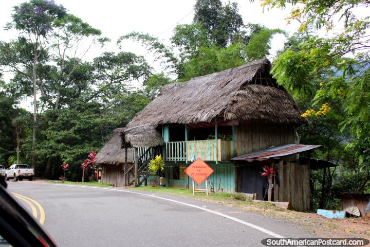 Jungle houses with thatched roofs beside the road in the Cordillera Escalera, north of Tarapoto. (720x480px). Peru, South America.