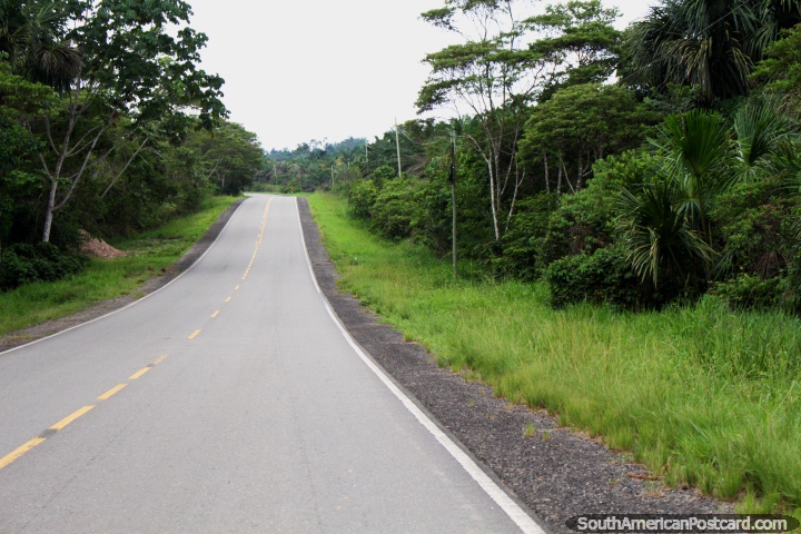 El último tramo de carretera en el noreste Peruano va de Tarapoto a Yurimaguas. (720x480px). Perú, Sudamerica.