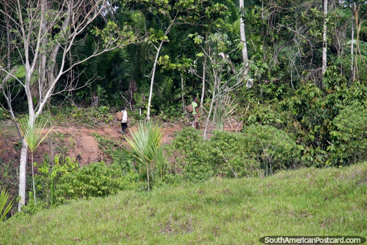 2 personas llevan cestas atadas a sus cabezas a lo largo de las orillas del ro cerca de Yurimaguas. (720x480px). Per, Sudamerica.