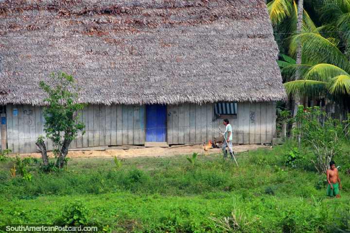 Grande casa com o telhado coberto com palha perto de Yurimaguas, isto é o bebê de Amazônia! (720x480px). Peru, América do Sul.