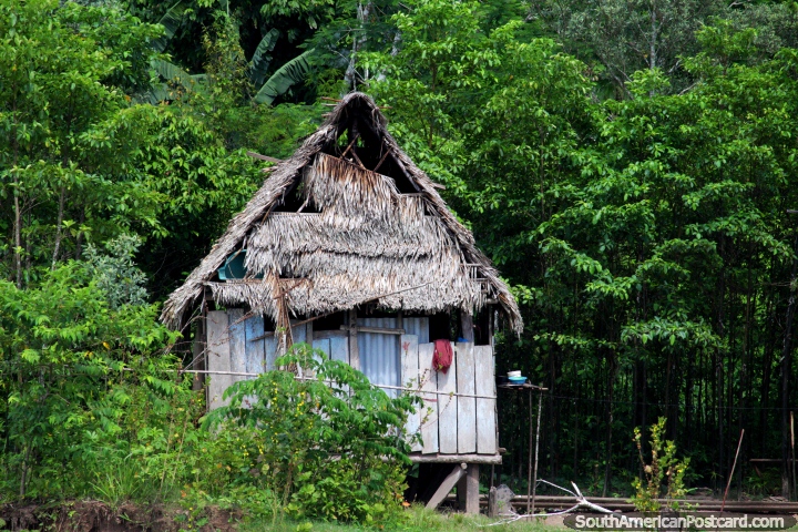 As casas são simples no Amazônia, de madeira com telhados cobertos com palha, ao norte de Yurimaguas. (720x480px). Peru, América do Sul.
