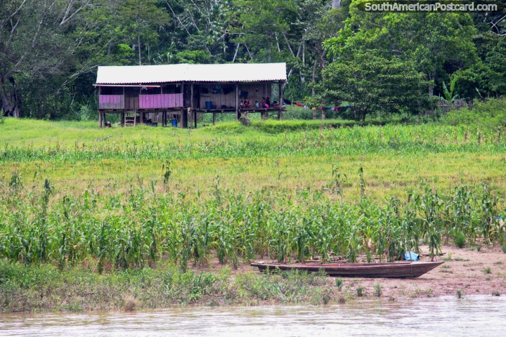 A distant Amazon house and family, their river canoe in the foreground, south of Lagunas. (720x480px). Peru, South America.