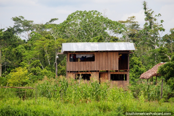 Doors and windows are an unnecessary appendage to Amazon houses, Santa Cruz District. (720x480px). Peru, South America.