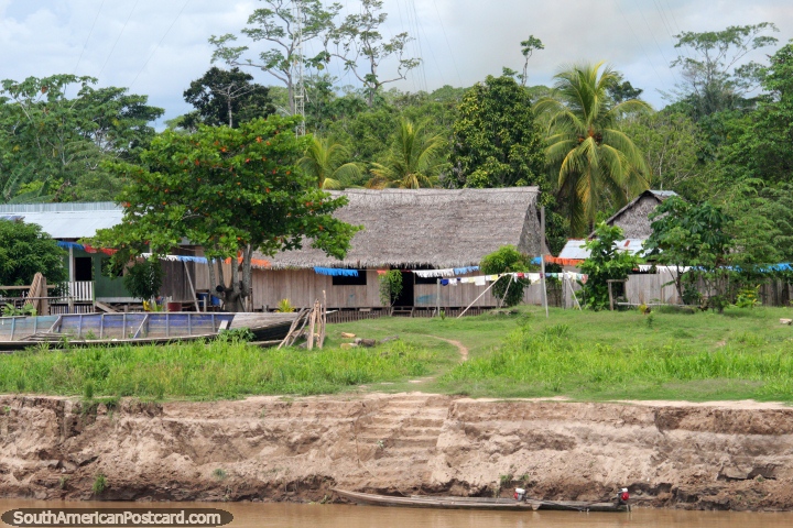 Typical houses in the Amazon, made of wood with thatched roofs, Santa Cruz. (720x480px). Peru, South America.