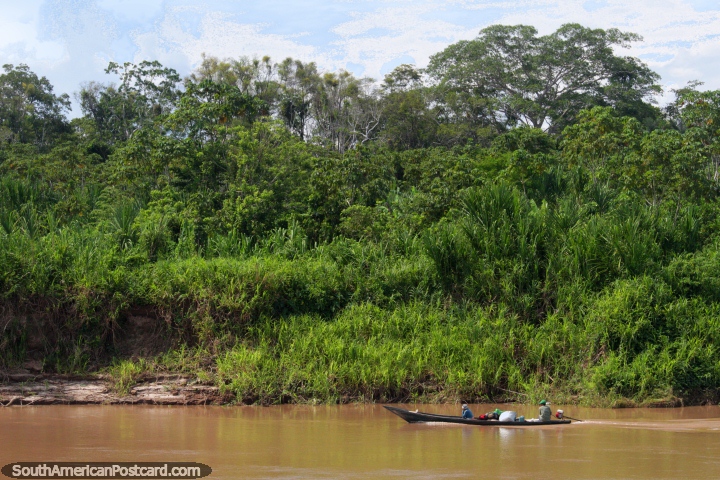 A pair speed along in a river canoe, up river on the Huallaga in the Amazon. (720x480px). Peru, South America.