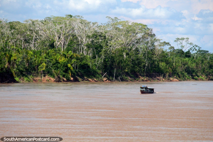 Hermoso paisaje verde alrededor, un viaje increble por el ro a Iquitos! (720x480px). Per, Sudamerica.