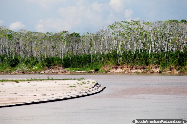 The Huallaga River grinds its way through the Amazon jungle, south of Lagunas. (720x480px). Peru, South America.