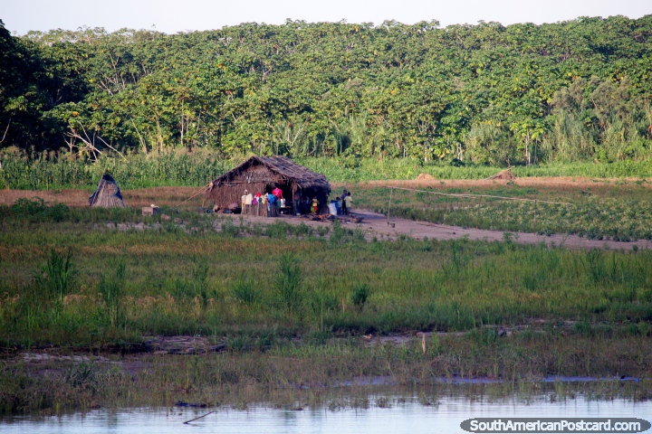 Grande famlia viva em alojamento bsico perto do Rio Huallaga ao sul de Lagoas. (720x480px). Peru, Amrica do Sul.