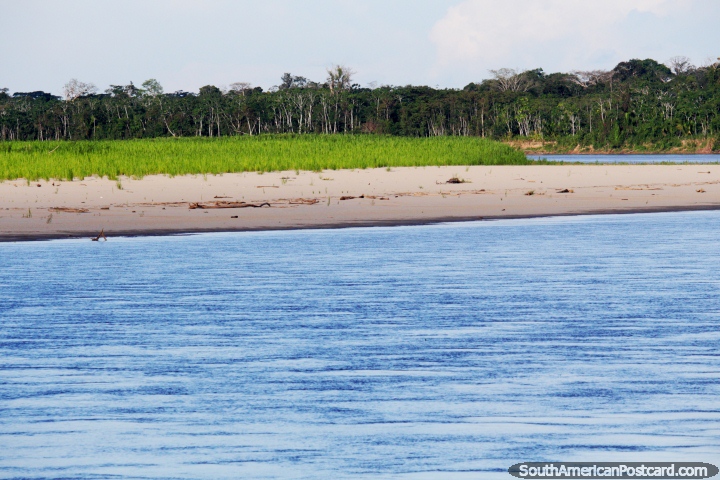Una verdadera playa de arena en la Amazonas junto al ro, es al sur de Lagunas si le gustara ir! (720x480px). Per, Sudamerica.