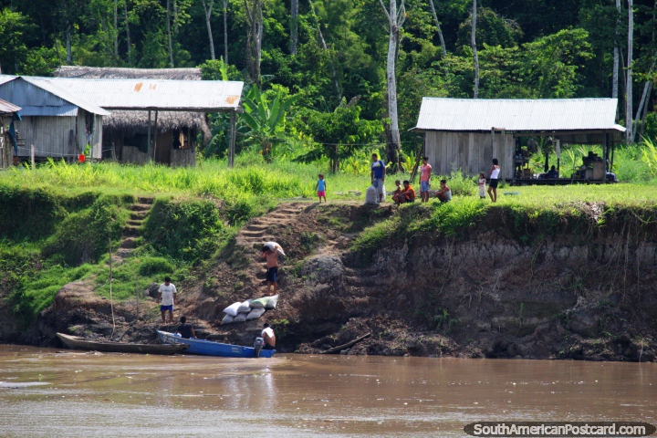 Actividad en las orillas del río alrededor de San Pedro, al este de Maipuco, la Amazonas. (720x480px). Perú, Sudamerica.