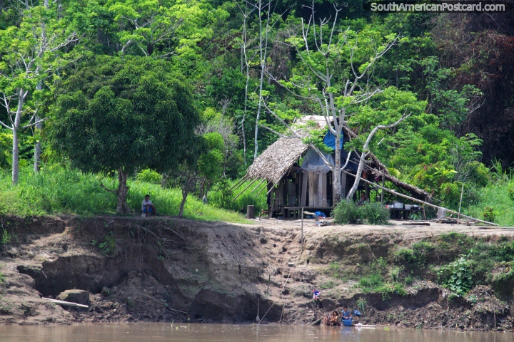 Dia de 13h00 2, uma famïlia vive em uma cabana de madeira simples em volta de Nueva Elmira no Amazônia. (720x480px). Peru, América do Sul.