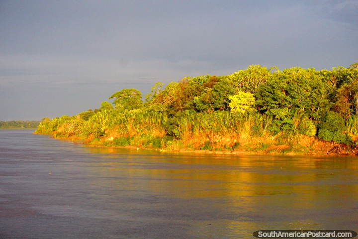 Dia de 17h30 2 e novamente uma hora de ouro de beleza verde nos rios do mato de Amaznia. (720x480px). Peru, Amrica do Sul.