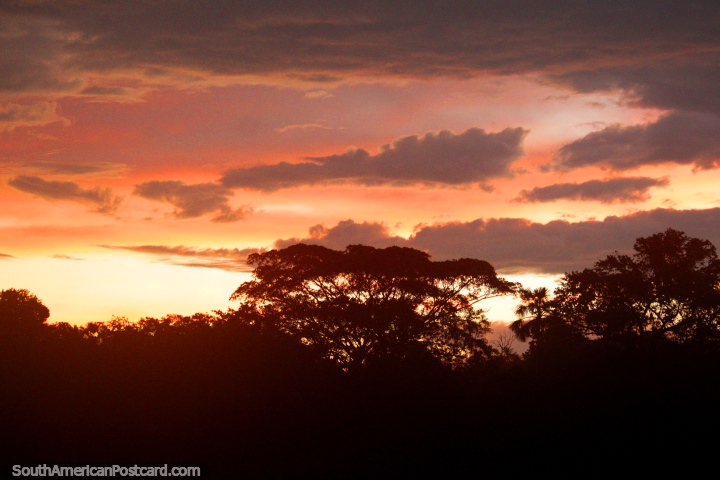 Buenas noches selva Amaznica, gracias por la hermosa puesta de sol! (720x480px). Per, Sudamerica.