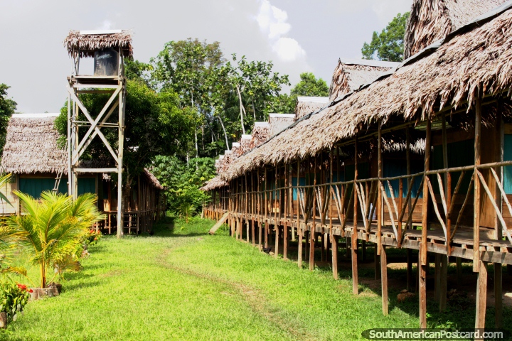 Isto é a que um alojamento de mato de Amazônia parece, os quartos são a direita. Iquitos. (720x480px). Peru, América do Sul.