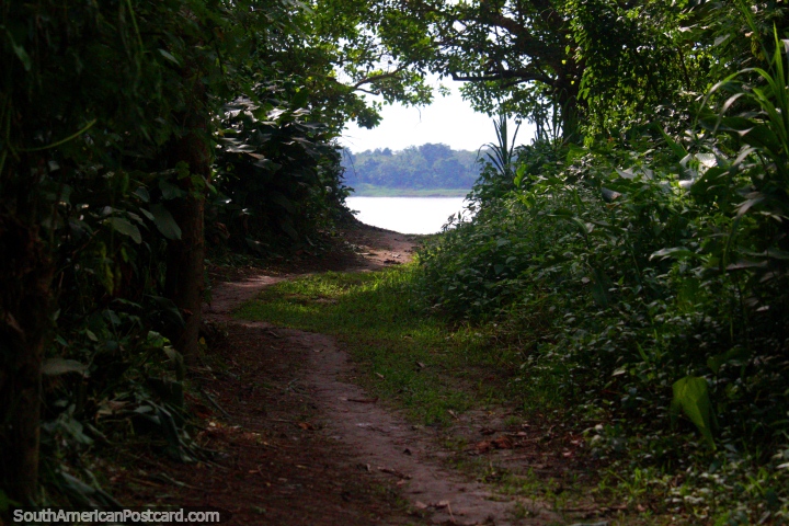 A clearing and a view of the Amazon River during a walk near Iquitos. (720x480px). Peru, South America.
