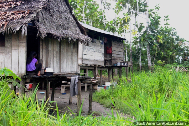 Casas de madera y una pequea comunidad en la Amazonas, no lejos del borde del ro cerca de Iquitos. (720x480px). Per, Sudamerica.