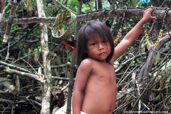 Pequeno rapaz indgena de uma famlia no mato perto de Iquitos. (720x480px). Peru, Amrica do Sul.