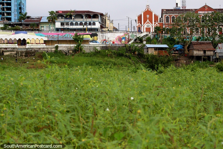 Grasslands of the Iquitos waterfront looking back up towards the city! (720x480px). Peru, South America.
