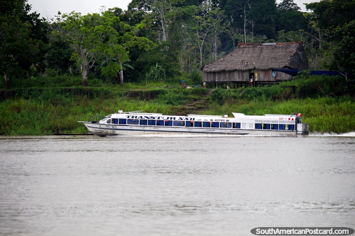 Tomar o barco rápido de Iquitos a Santa Rosa de manhã cedo, viagem de 9 horas. (720x480px). Peru, América do Sul.