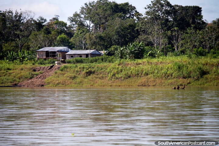 Casas de madera a orillas del Ro Amazonas entre Iquitos y Santa Rosa. (720x480px). Per, Sudamerica.