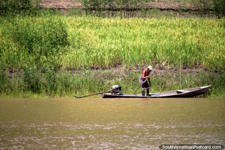 Hombre en un barco en el borde del Río Amazonas entre Iquitos y Santa Rosa. (720x480px). Perú, Sudamerica.