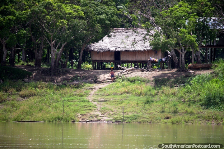 Grande casa de madeira e uma propriedade bonita com sequóias no Amazônia, entre Iquitos e Santa Rosa. (720x480px). Peru, América do Sul.