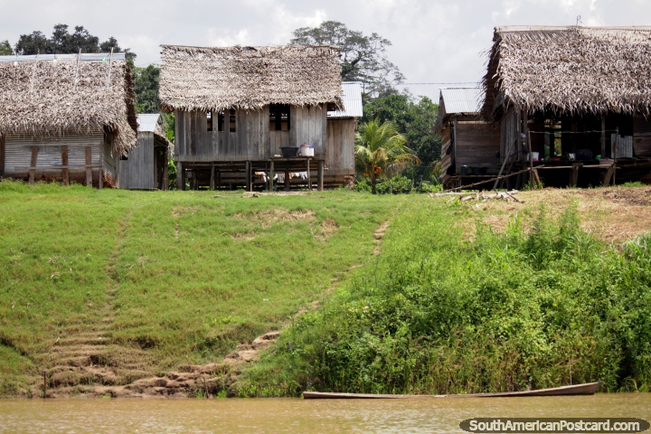 The Alfaro community live beside the Amazon River in thatched roof houses, west of Santa Rosa. (720x480px). Peru, South America.