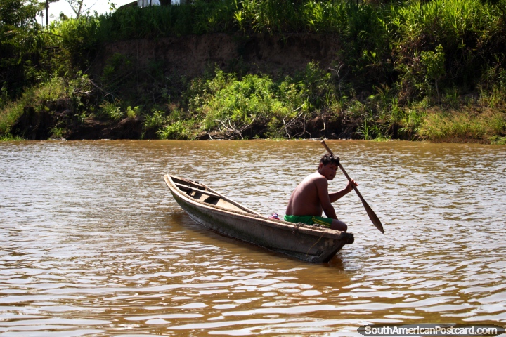A man hunts for fish with a spear, the Amazon River, Chimbote, west of Santa Rosa. (720x480px). Peru, South America.