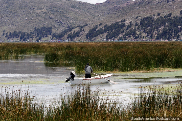 Man paddles in a small boat looking for a fishing spot on the waters of Lake Titicaca in Puno. (720x480px). Peru, South America.